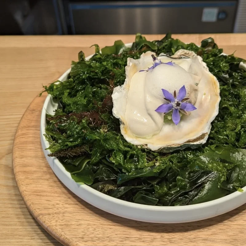 隠岐の島岩牡蠣/ロメインレタス